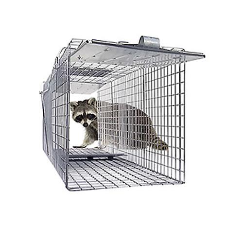 Extra Large 2-Door Live Animal Trap | Havahart® 1050