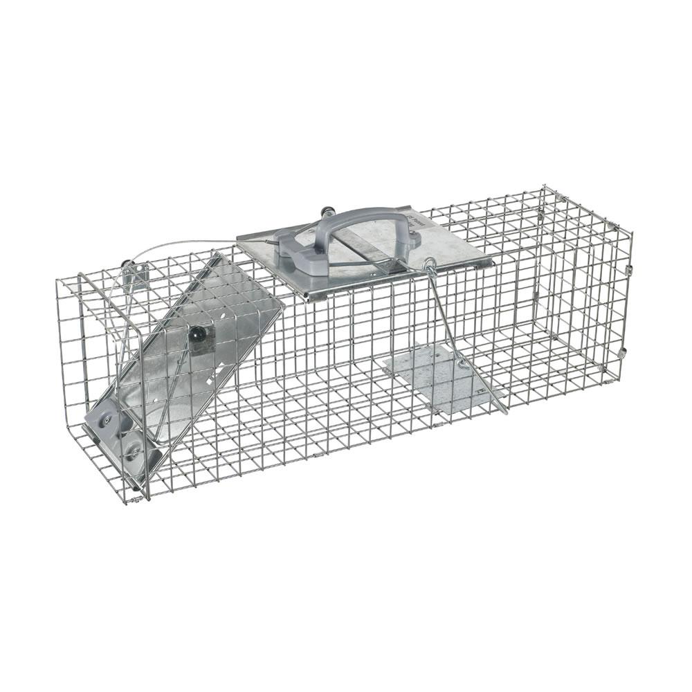 Havahart Squirrel Trap To Get That Pesty Thing Out Of The Attic Traps Garden Supplies Squirrel