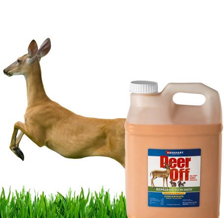 Deer Off Concentrate Pest Repellent for Large Yard & Commercial Property