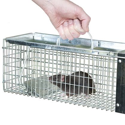 Extra Small 1-Door Live Animal Trap| Havahart® 0745