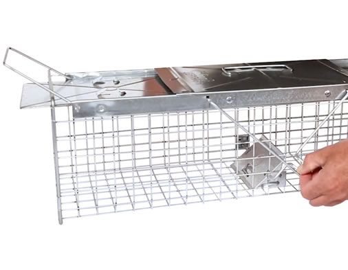 2-Door Medium Live Animal Trap | Havahart ® 1030-B