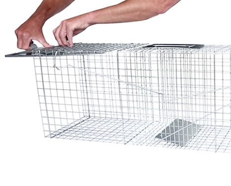 Large 2-Door Live Animal Trap | Havahart® 1045