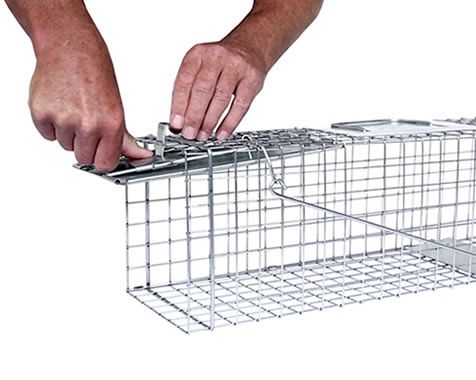 Medium 1-Door Spring Loaded Trap | Havahart Traps®