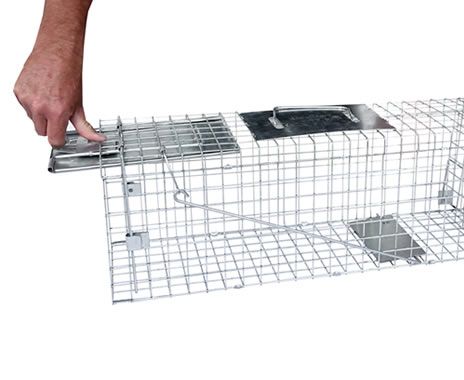 Medium Collapsible 1-Door Live Animal Trap | Havahart® 1088