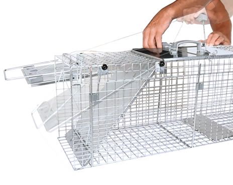 Large Collapsible Easy Set® Live Trap | Havahart® 1092